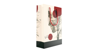 Papiertragetasche Bestseller, 24 × 9 × 35 cm, PP-K