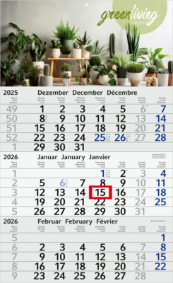 Budget 3 green+blue, blau