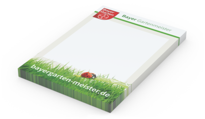 Basic 50 x 72 Bestseller, 50 Blatt