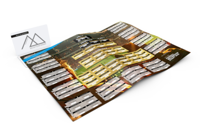 WM-Card green+blue, Motiv C – „Stadionemotion“