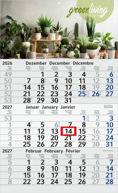 Budget 3 green+blue, blau