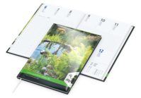 Media Bestseller inkl. 4C-Quality