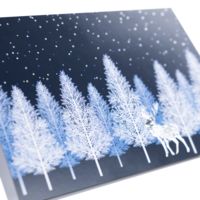 Weihnachtskarte x.press Motiv 06