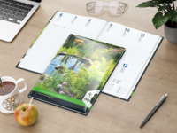 Media Bestseller inkl. 4C-Quality